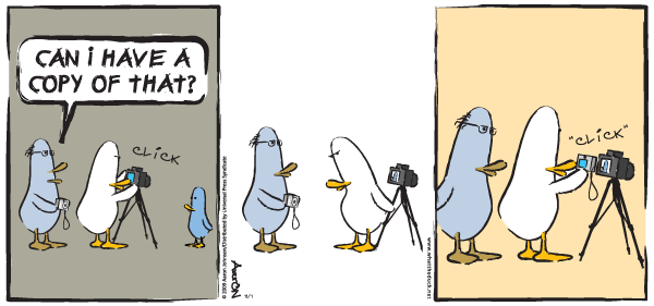 WTD110109SUN